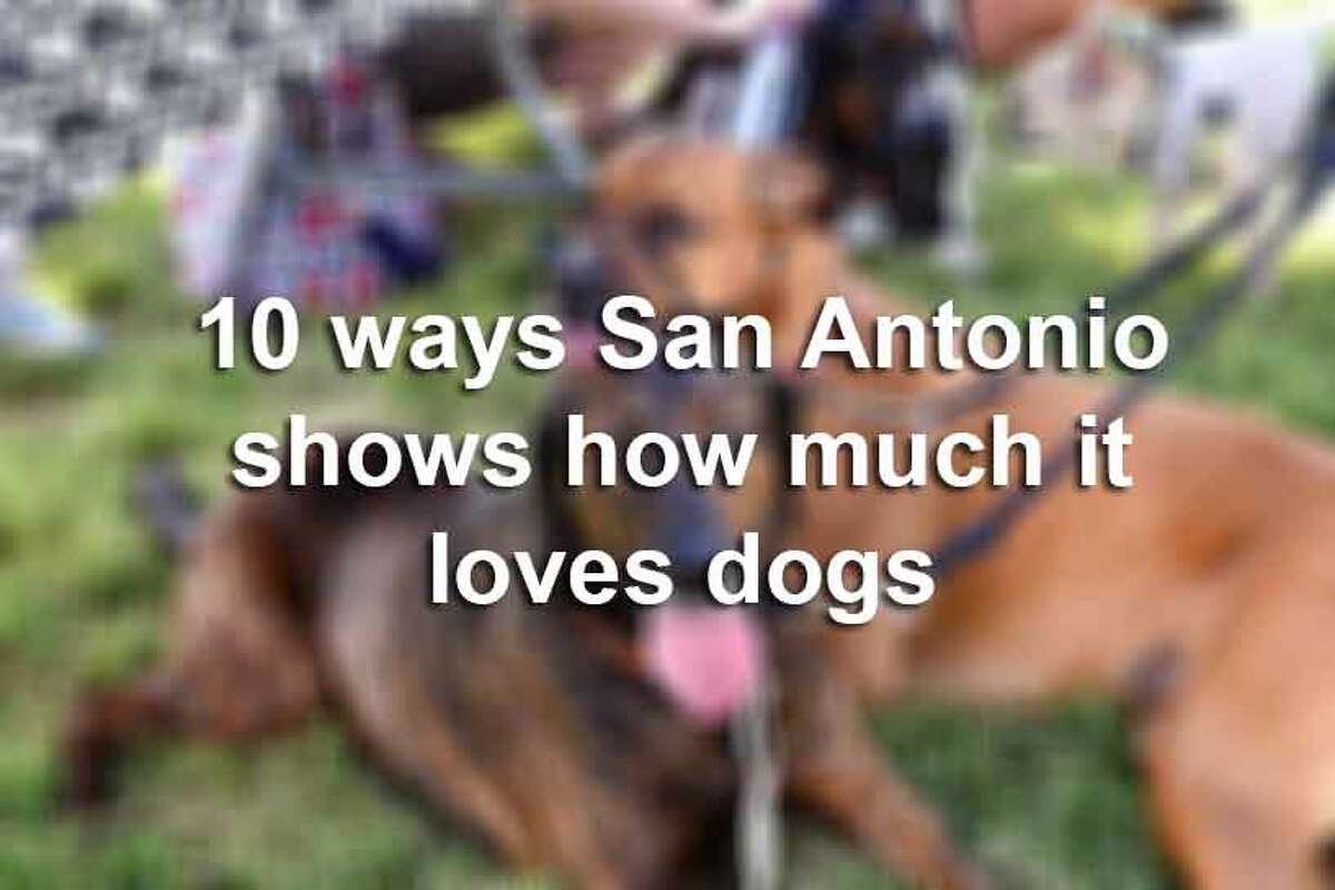Keep clicking for proof that San Antonio is for the dogs.