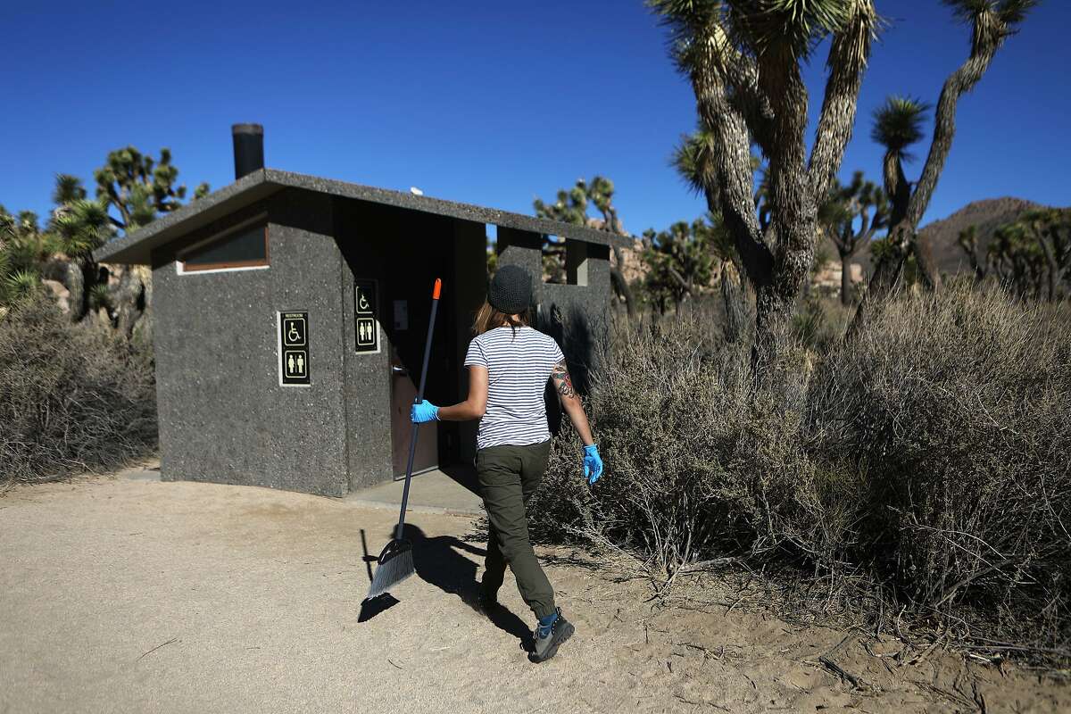 Joshua trees cut down, desert vandalized at Joshua Tree National Park