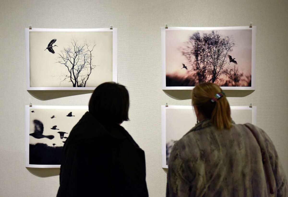 Attendees look at prints by Elena Lyakir on display in the "Forces of Nature" exhibition at Greenwich Library's Flinn Gallery in Greenwich, Conn. Sunday, Jan. 6, 2019. The exhibition, which runs through January 23, shows how the beauty and wonder of nature provides endless visual influences and opens possibilities for art making. Work by artists Amy Talluto, Rebecca Hutchinson and Elena Lyakir is on display.