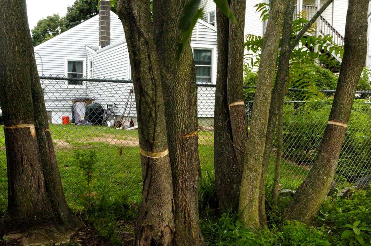 Delian Naydenov, 32, was charged with 9 counts of third degree criminal for allegedly cutting gouges in trees at West Beach, which are behind his house.