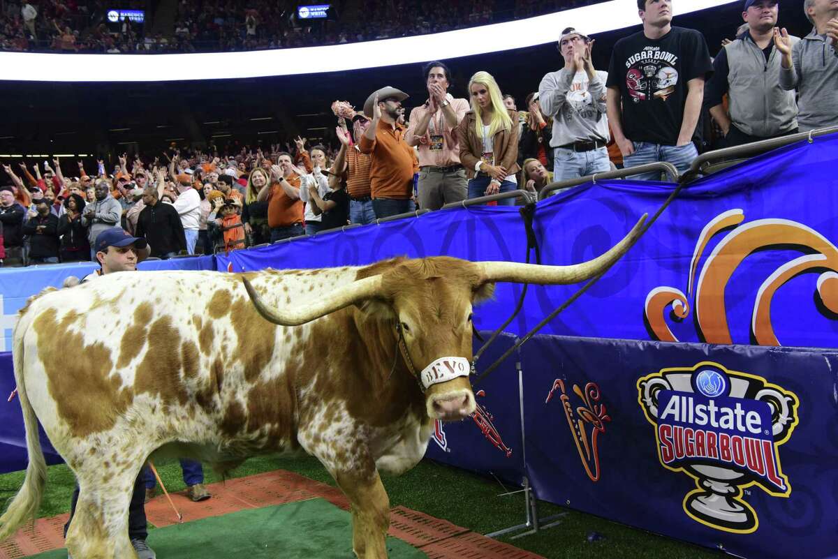 Bevo, the University of Texas mascot, reportedly charged Georgia’s bulldog mascot, Uga, at the Allstate Sugar Bowl. A reader disagrees that schools should not have live mascots.