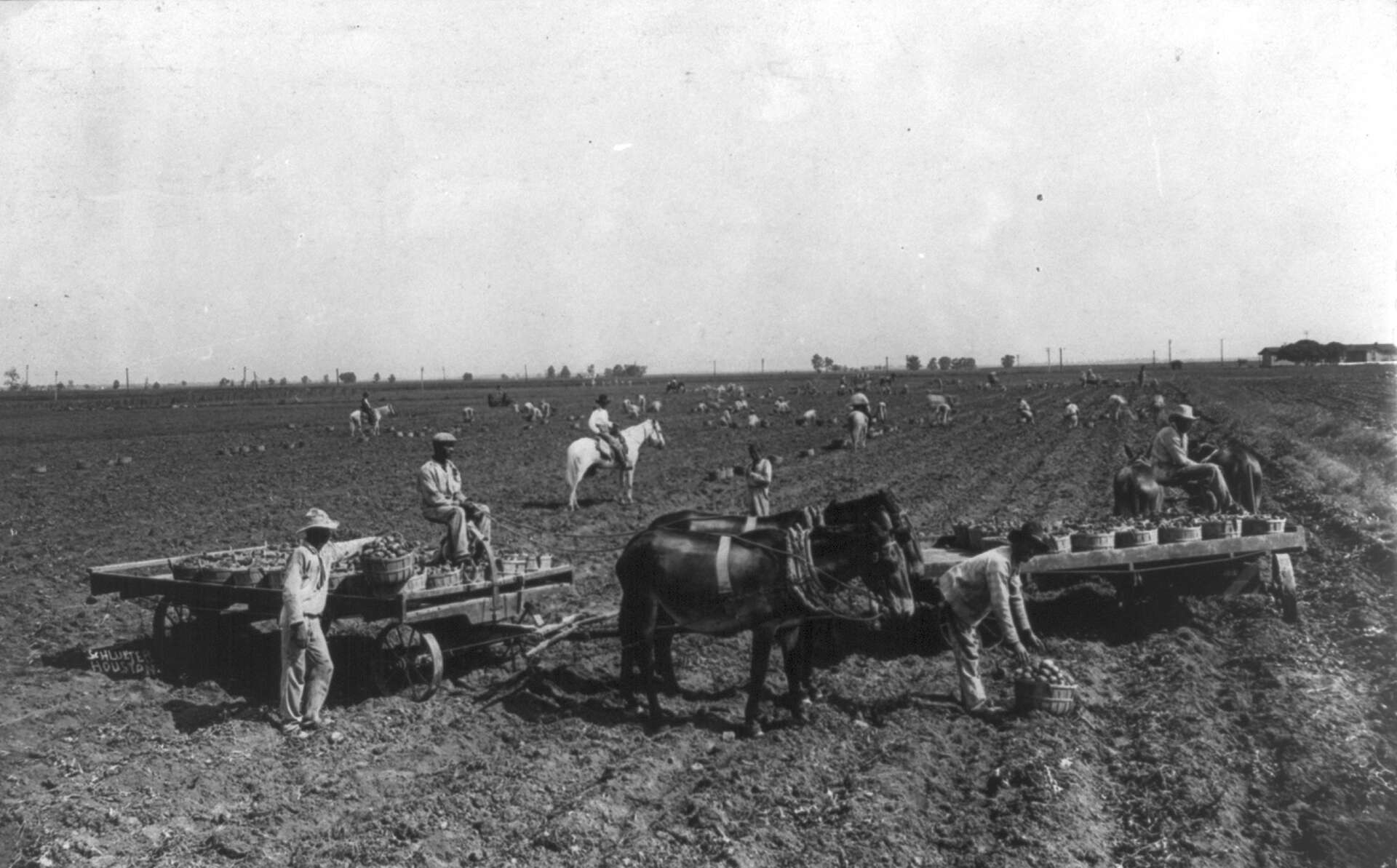 Human lives were not of value': African-American remains awaken