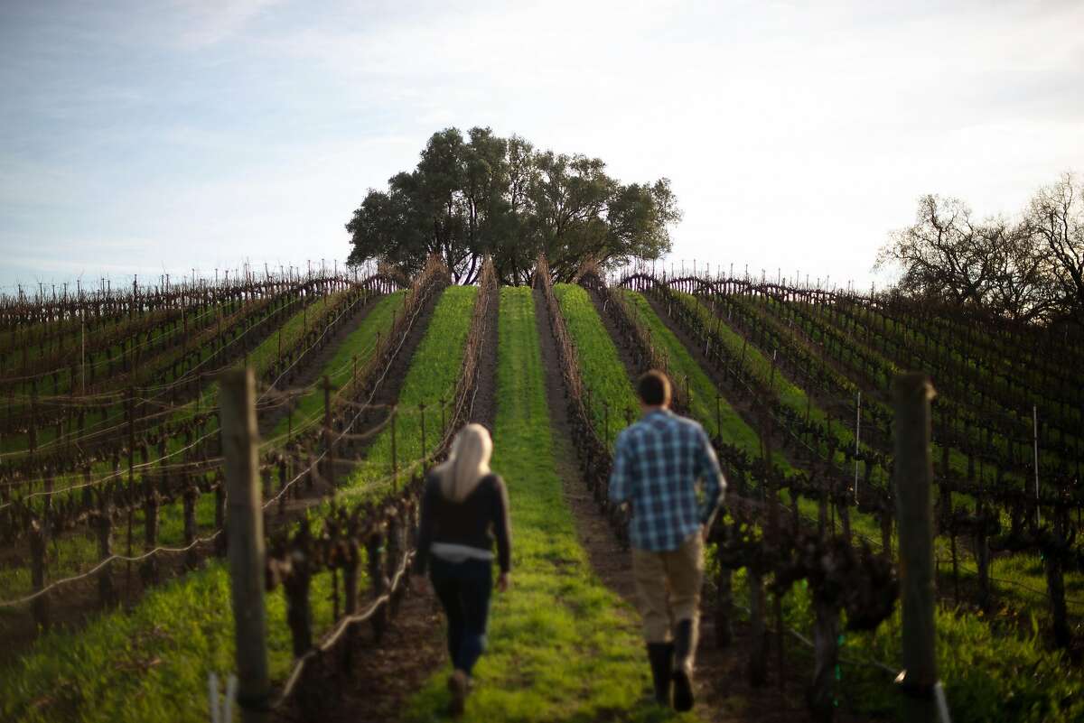 Karin and Justin Warnelius-Miller, seen in 2018, stroll through vines planted in 1969 by Justin's father at Garden Creek Vineyards in Geyserville. They’ve turned some of their smoke-tainted 2019 fruit into grappa.
