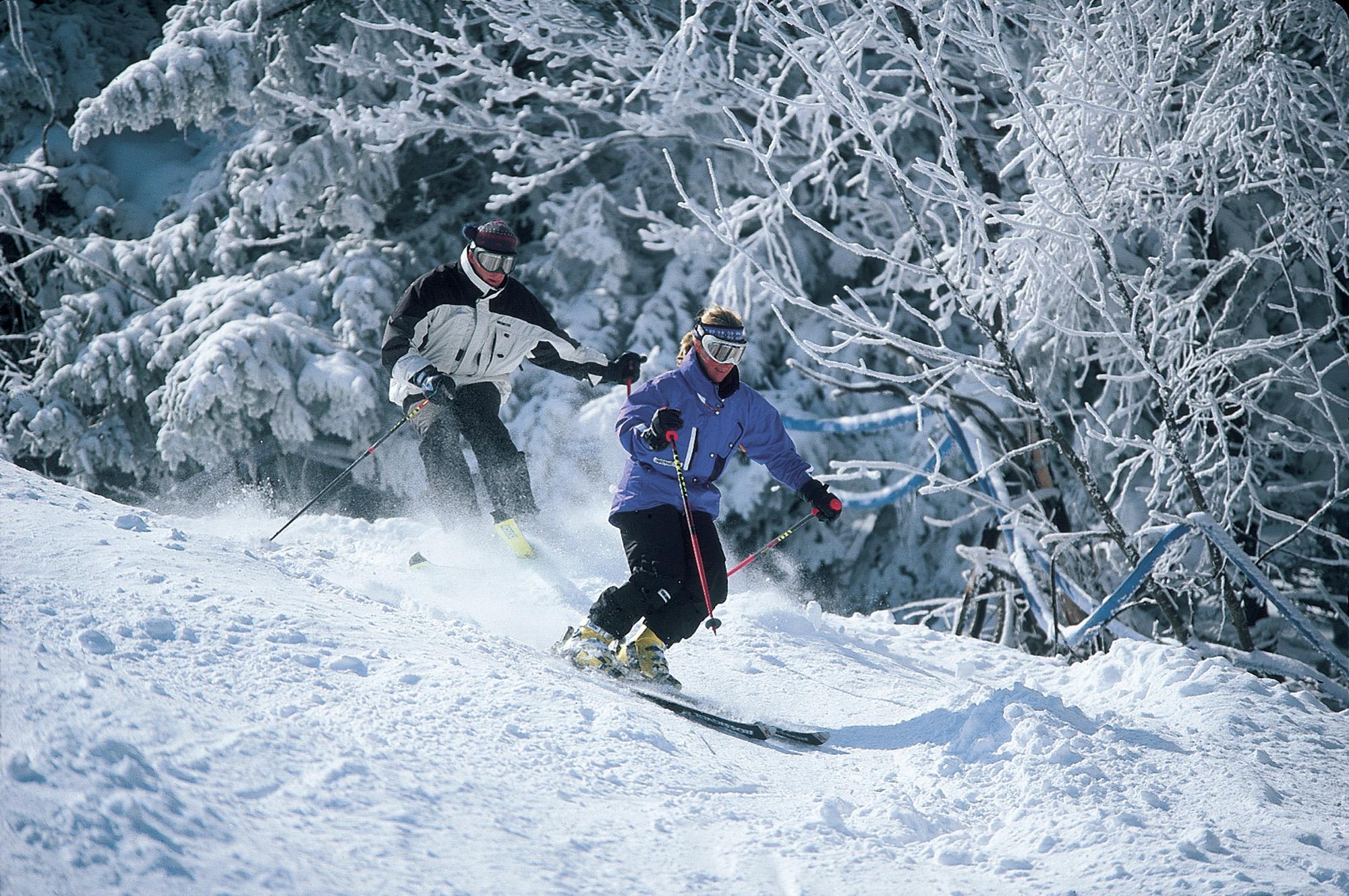 us ski & snowboard