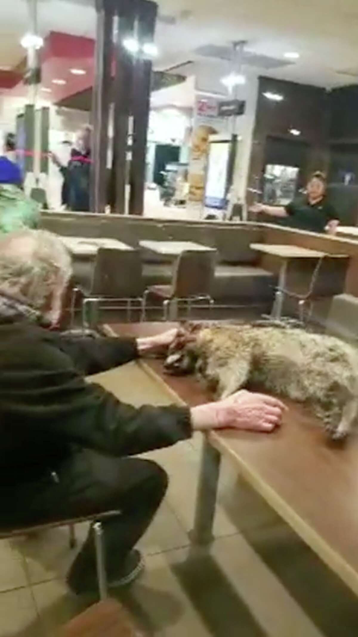 Man brings dead raccoon into a San Francisco McDonald's, forces