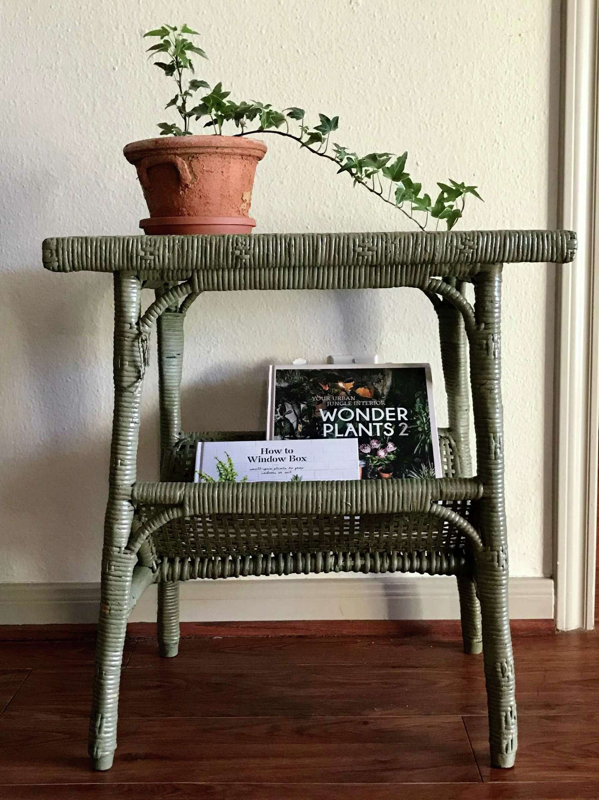 趣味・スポーツ・実用 WONDER PLANTS YOUR URBAN JUNGLE INTERIOR 趣味・スポーツ・実用 WONDER PLANTS YOUR URBAN JUNGLE INTERIOR