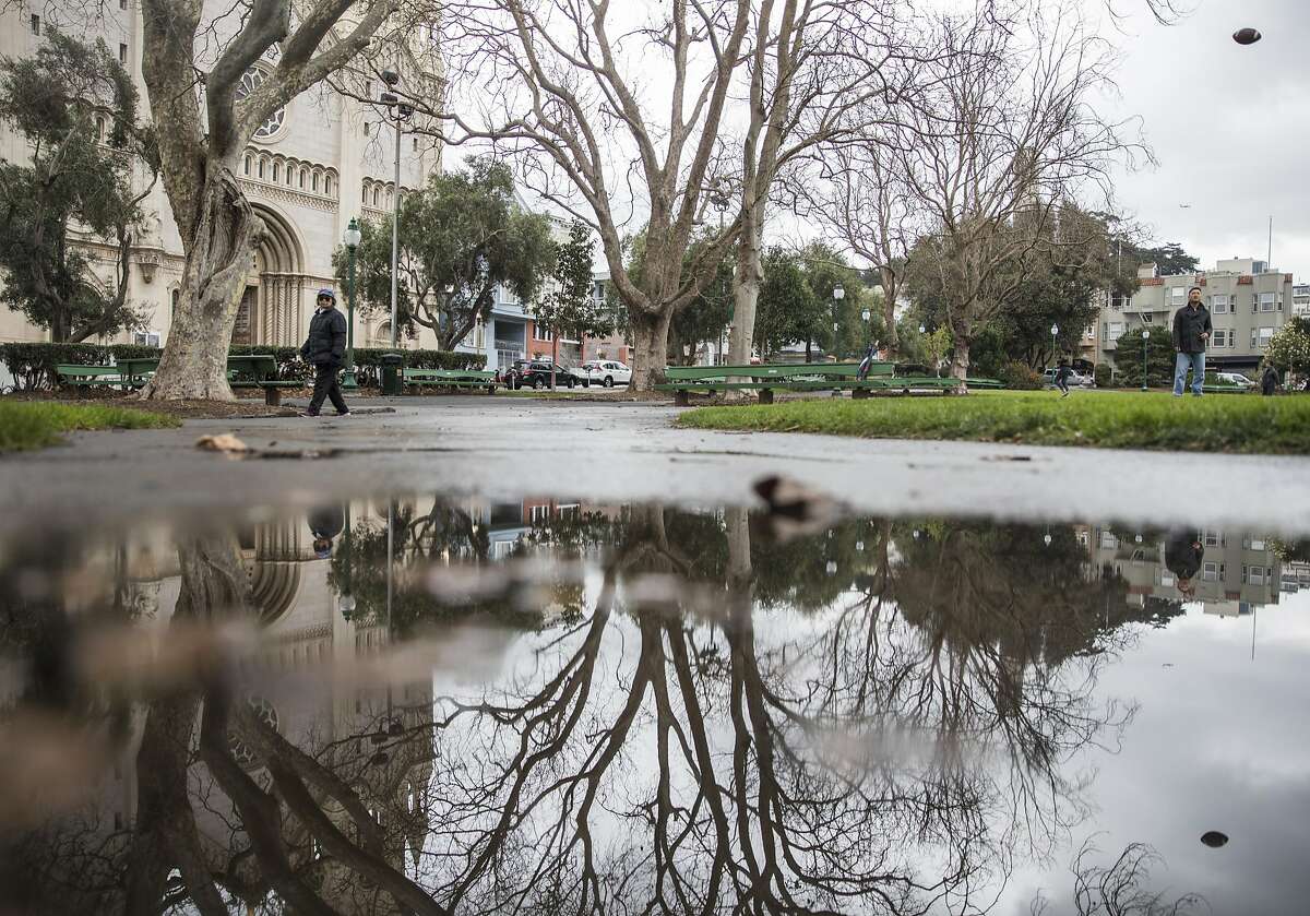 Rain water begins to puddle along a walkway of Washington Square Park in the North Beach neighborhood of San Francisco, Calif. Saturday, Jan. 5, 2019.