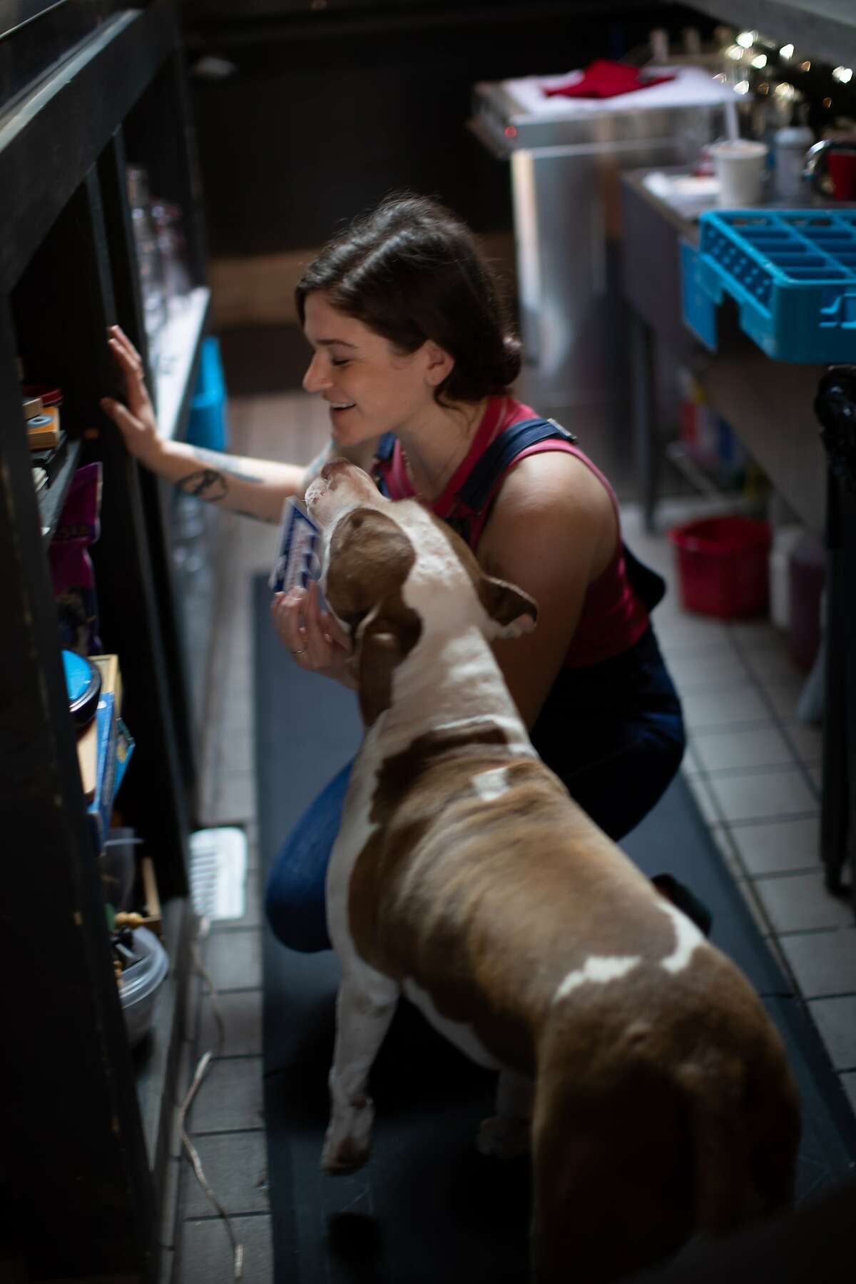 The Elephant in the Room bartender Flynn Lenny is greeted by co-owner K.C. Mosso's dog Cleo Saturday, Jan. 12, 2019, in Healdsburg, Calif.