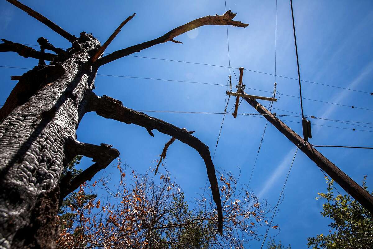 A burned out tree stands near one of many replaced PG& power poles along Mount Veeder Rd., Saturday 09 June 2018 in Napa, CA. On Monday, PG& announced it would file for bankruptcy protection at the end of January. (Peter DaSilva Special to the Chronicle)