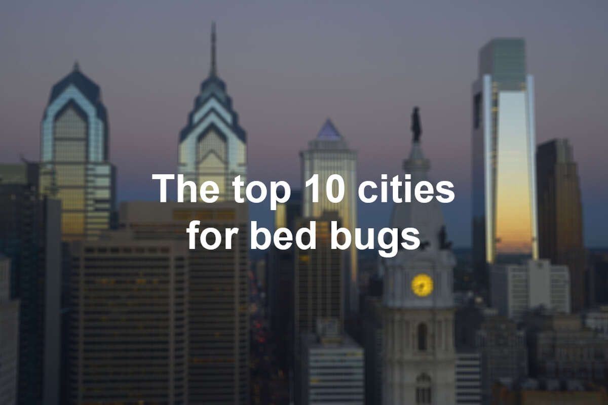 The top 10 cities for bed bugs