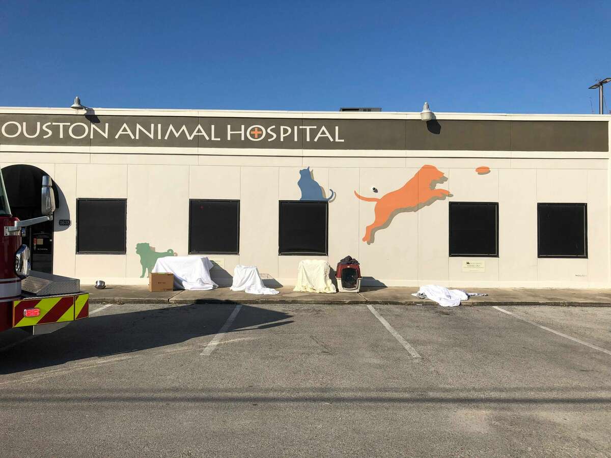Montrose animal hospital evacuated due to nearby gas leak